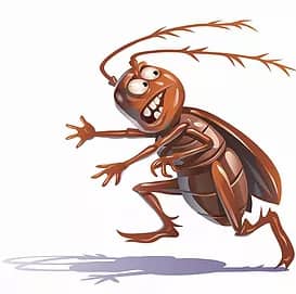 roach running from local pest control services