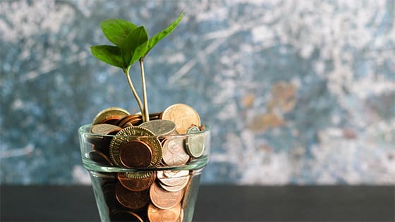 a glass vase sits on a wooden table filled with coins and a small plant growing from it; image used for a blog about deductible IRA contribution for 2019