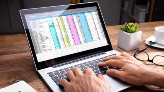 a person working on a laptop with a screen showing a spreadsheet of numbers; image used for blog post about meticulous recordkeeping for tax deductions and painless IRS audits
