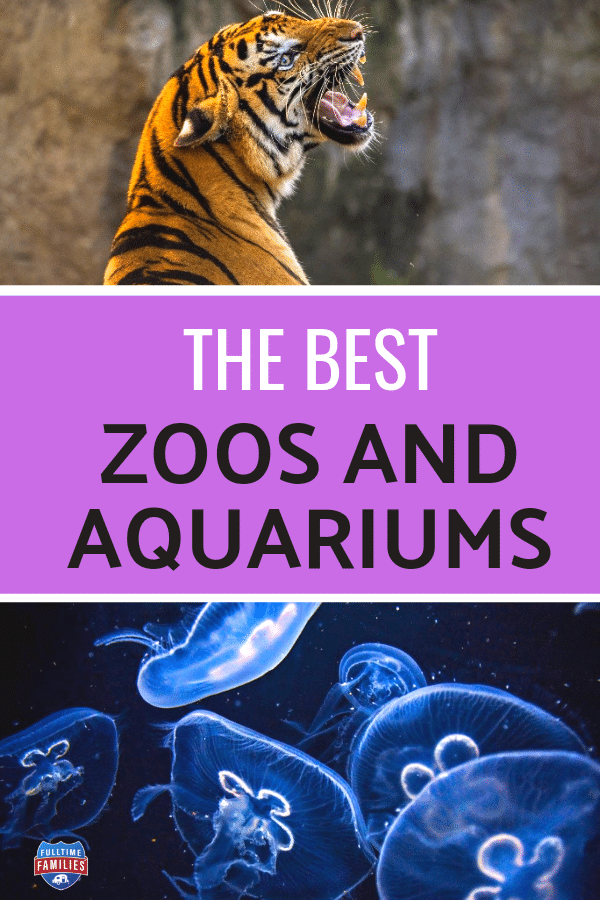 Best Zoos and Aquariums in the USA