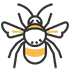 bees pest control