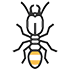 termite control