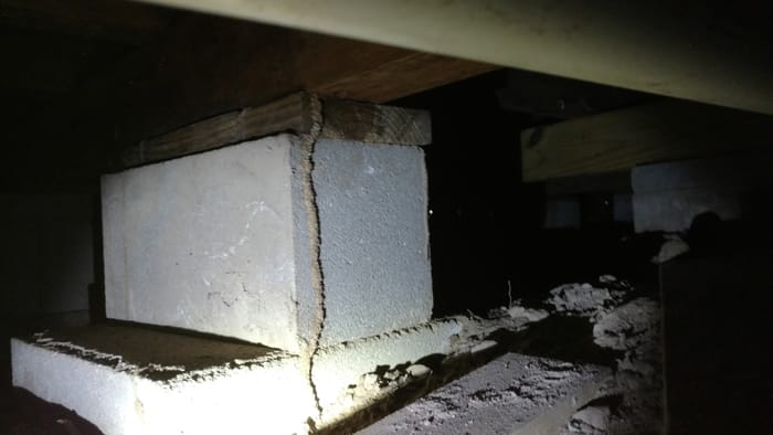 Dim crawl space with termite evidence