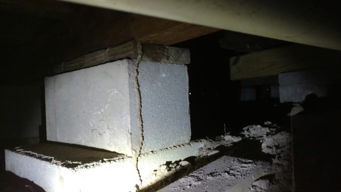 The Essential Guide to Termite Inspection for Home Buyers
