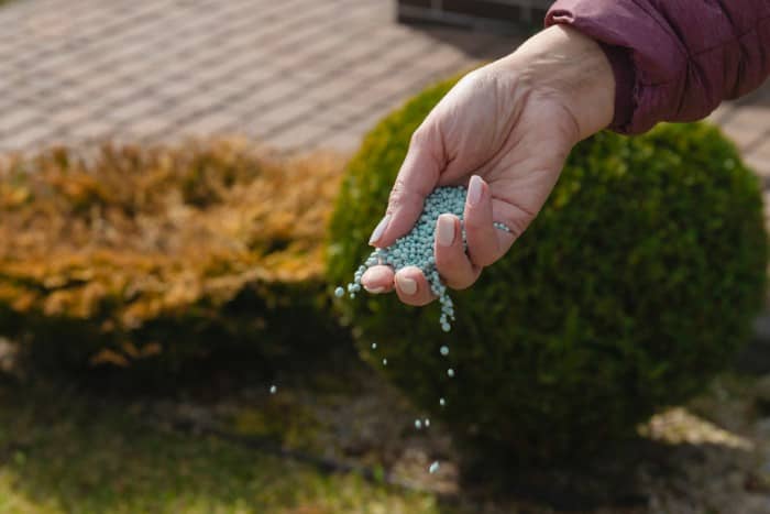 a woman's hand dropping fertilizers on the ground