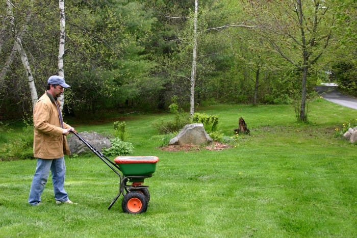 A man pushing a fertilizer spreader across a green lawn, surrounded by trees and natural landscaping