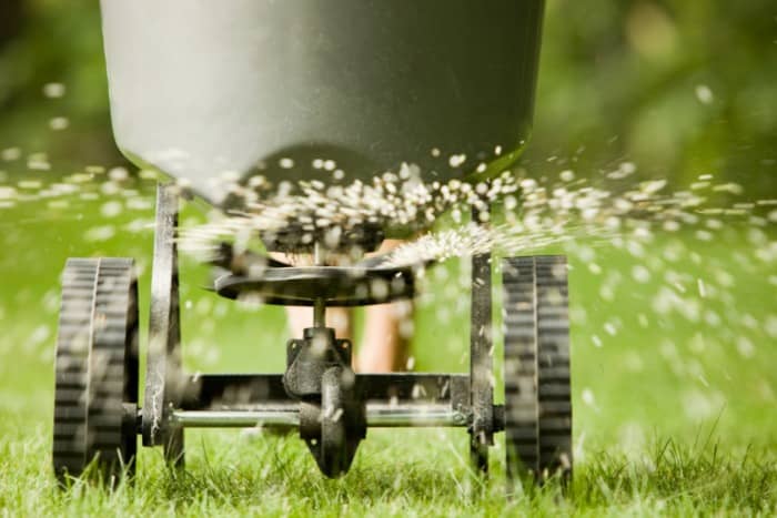 Fertilizer spreader distributing pellets on lawn