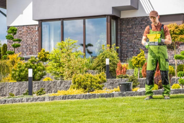 Professional landscaper using a handheld spreader to fertilize a vibrant green lawn with a landscaped garden and house in the background