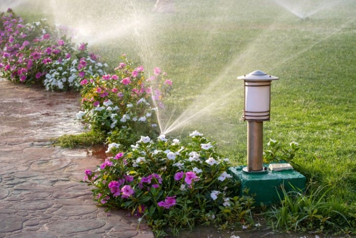 grass watering