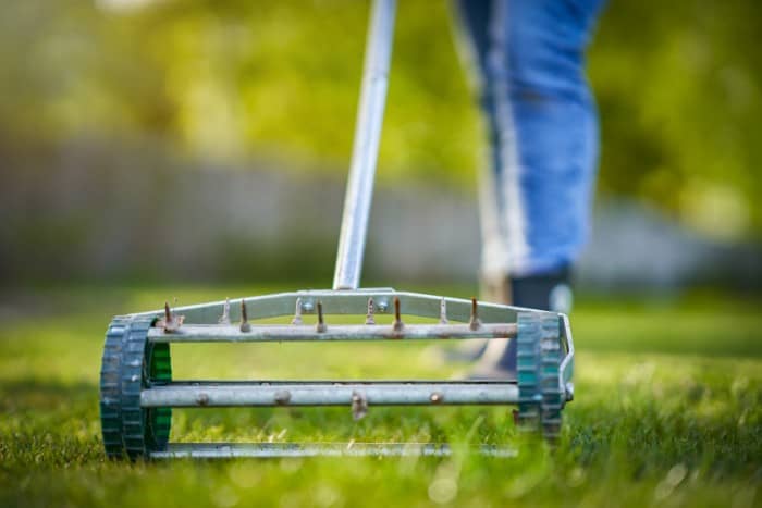 A lawn aerator rolling across a green lawn, focusing on the aeration tines and wheels in action