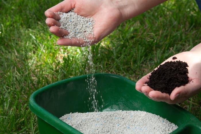 Hands demonstrating lawn fertilizer granules being poured into a green spreader, with soil in the other hand.