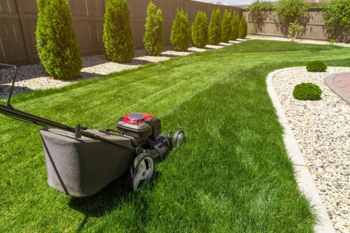 Freshly mowed lawn with a mower in a neatly designed garden