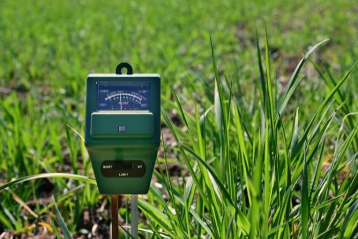 Soil moisture and pH meter in a green lawn for testing soil conditions