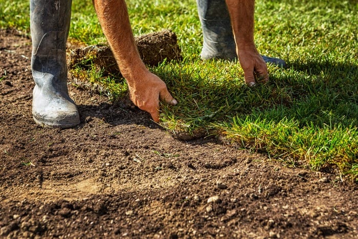 man planting new grass