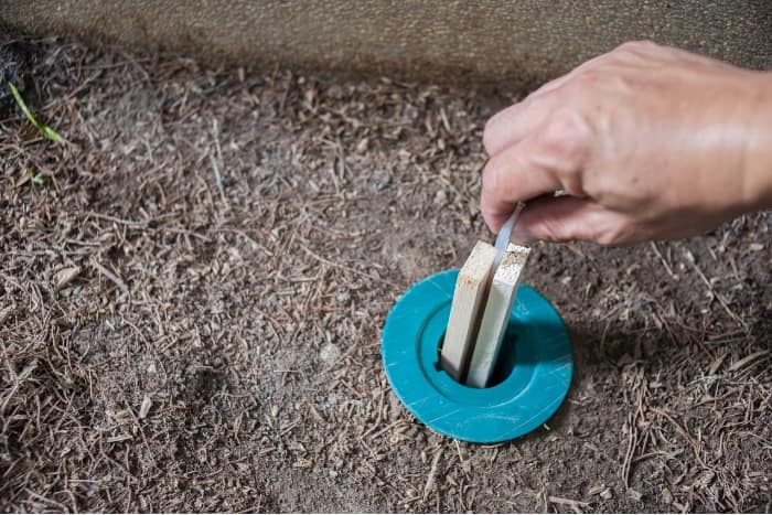 termite bait system