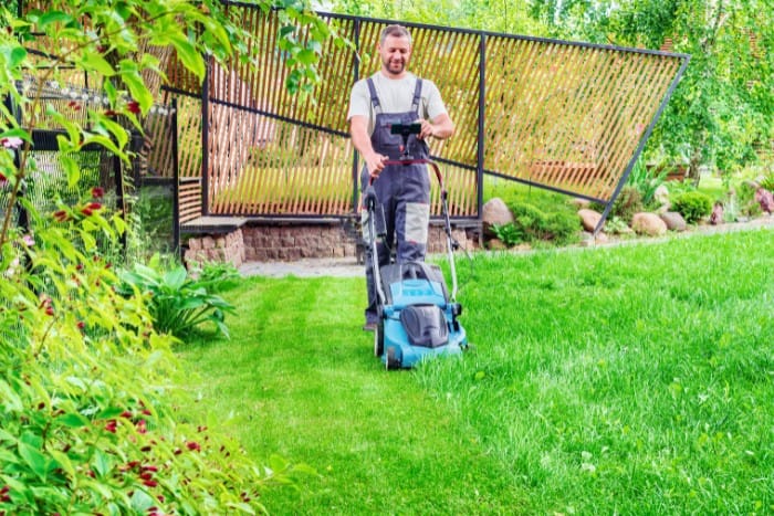 A lawn care expert using a mower to promote strong grass growth and prevent weeds