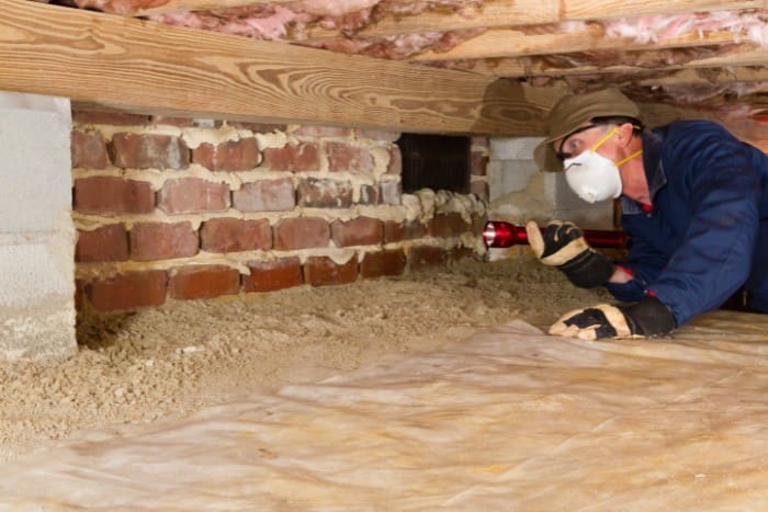 Professional WDI inspector checking a home's crawl space for wood-destroying insect damage
