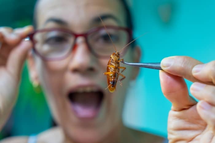 surprised woman holding a cockroach with a clamp