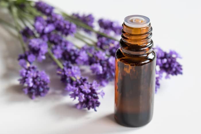 lavender essential oil bottle