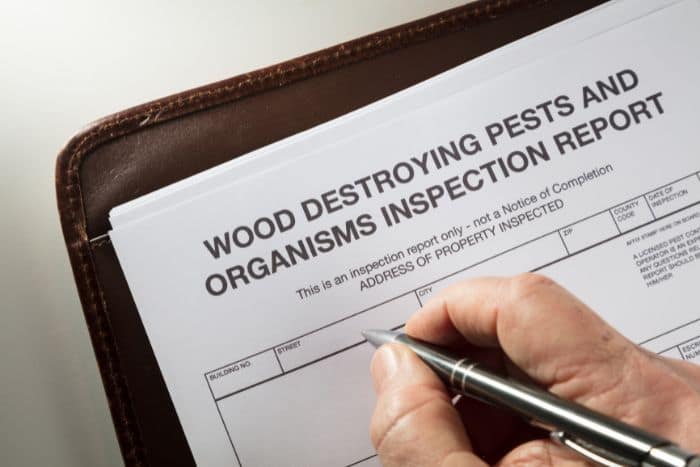 termite inspection report document