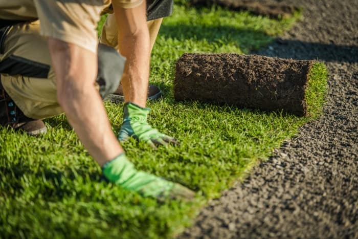 How to Choose the Right Lawn Care Company in Livingston, TX