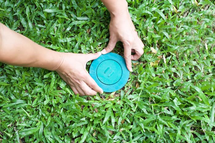 Comparing Professional Termite Baiting with Traditional Termite Treatments