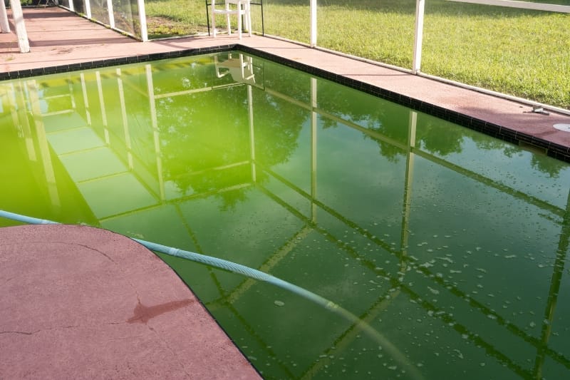 green residential swimming pool water because of algae