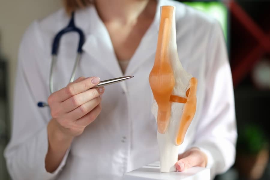 knee surgeon holding a model of a knee