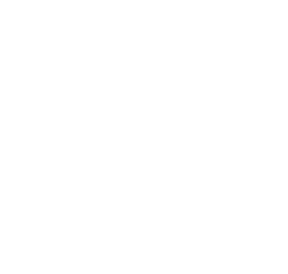 JVSA logo