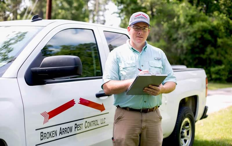 How do Exterminators Get Rid of Carpenter Ants - Broken Arrow Pest Control