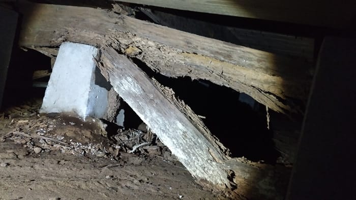 termite damaged wooden beam under house
